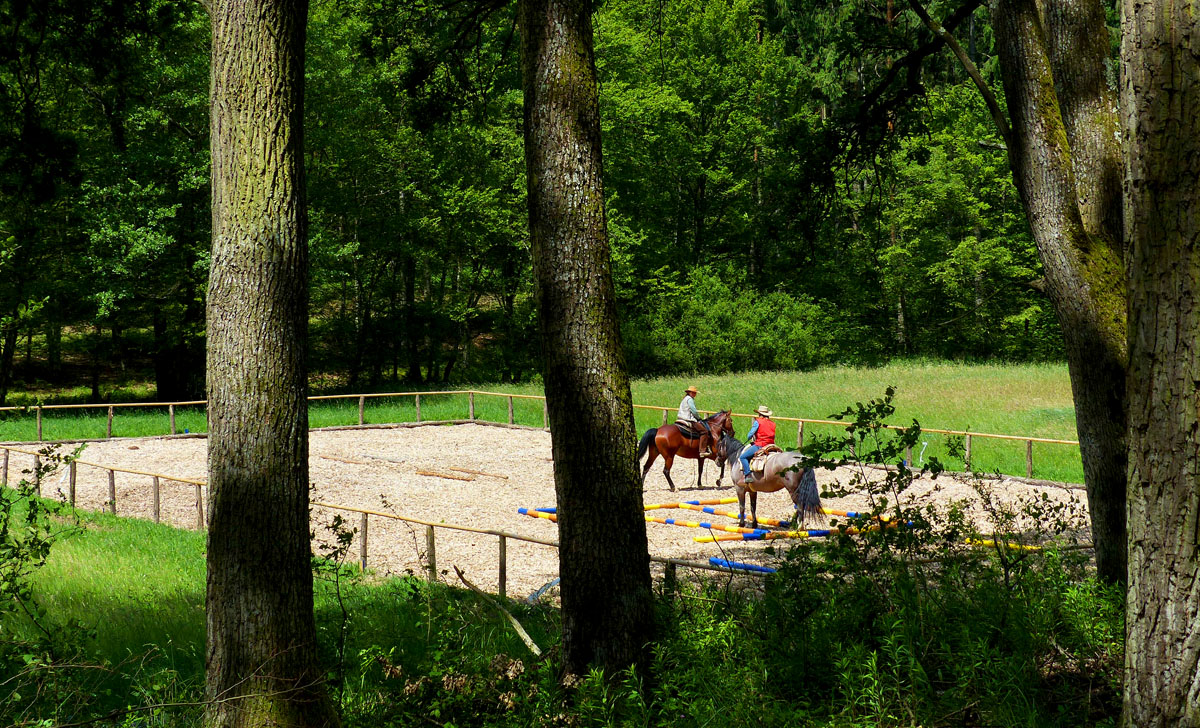 TTouch Pferde Trainingsplatz in Österreich