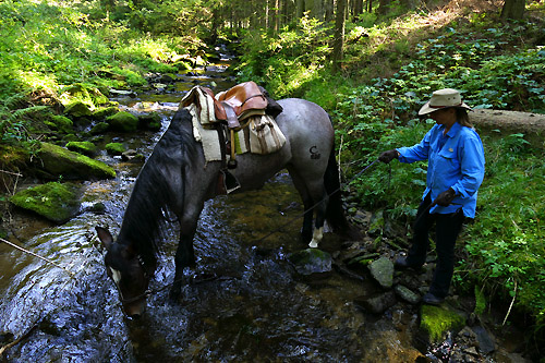 slowakei reiten mit pferden