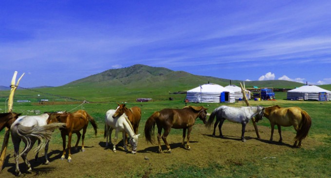 Mongolei Pferde und Nomaden