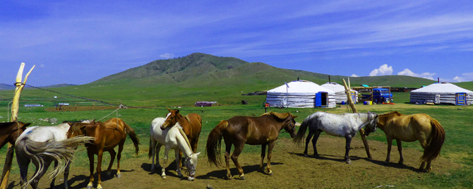 web_mongolei_jurten camp