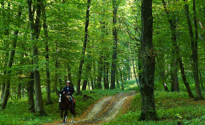 reiten mit dem eigenen pferd siebenbürgen rumänien  web