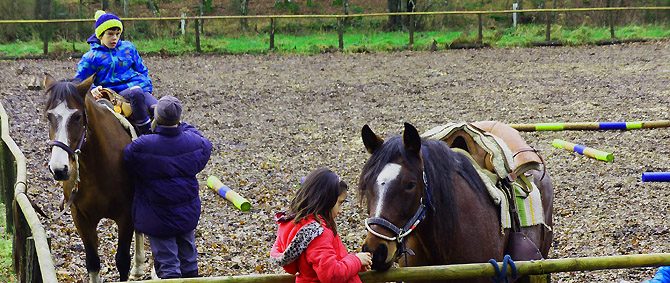 ttouch mit pferden für kinder