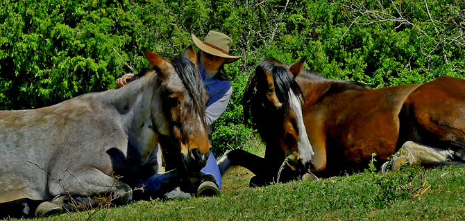pferde relax mit Manu web