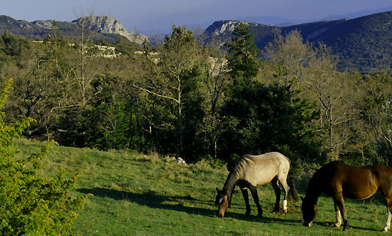 frankreich reiten midi pyrenees web