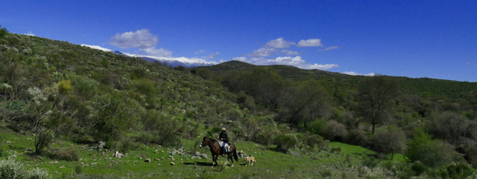 spanien reiten mit dem pferd_web